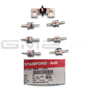 RSK-1101 RECT SERVICE KIT - Stamford / Newage