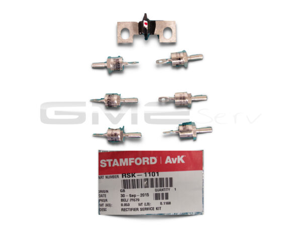 RSK-1101 RECT SERVICE KIT - Stamford / Newage